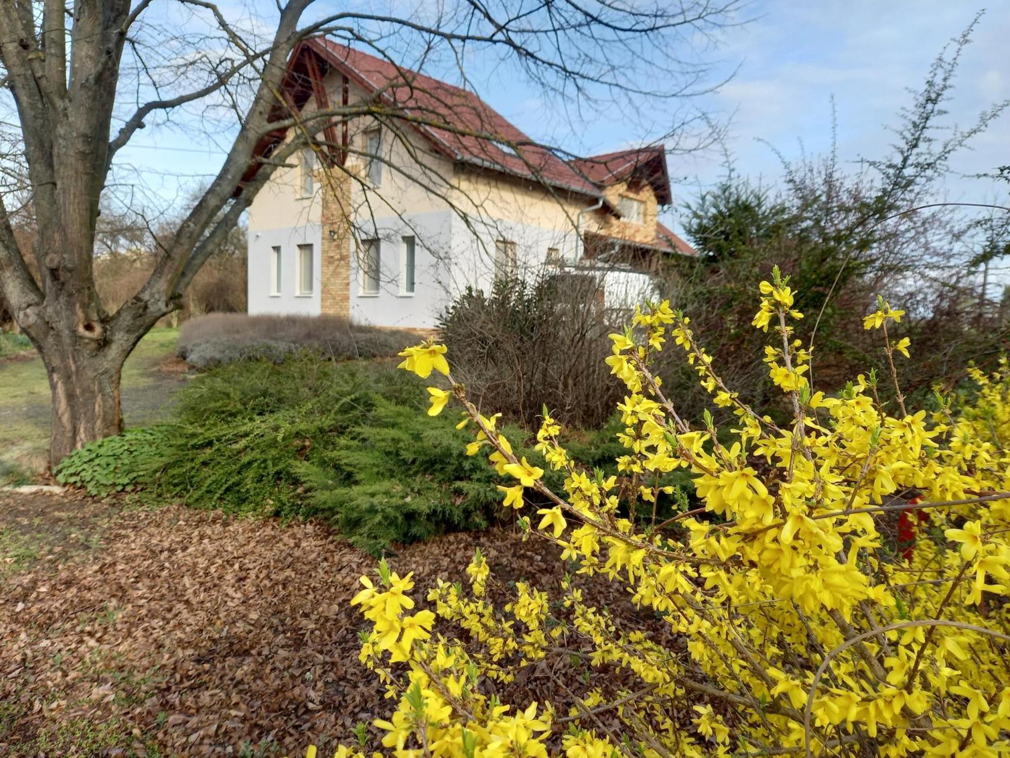 Horpacsi Europa Piheno Koezpont Hotel ภายนอก รูปภาพ